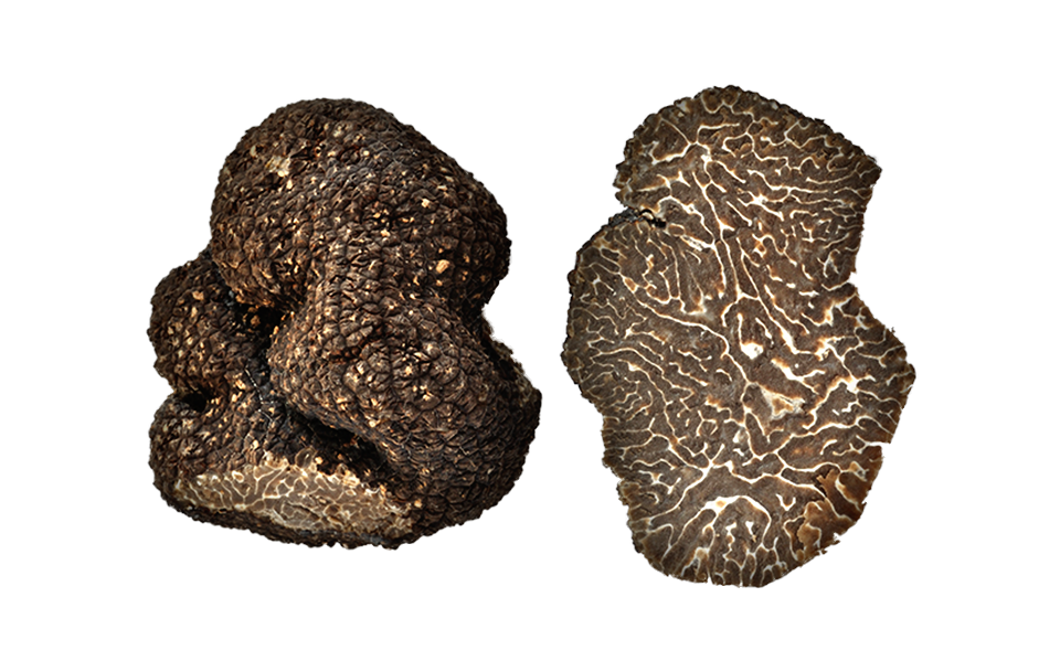 winter truffel